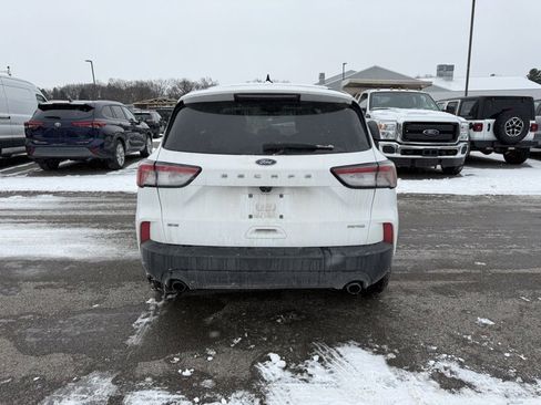 Used 2022 Ford Escape SE w/ SE Sport Appearance Package image 7