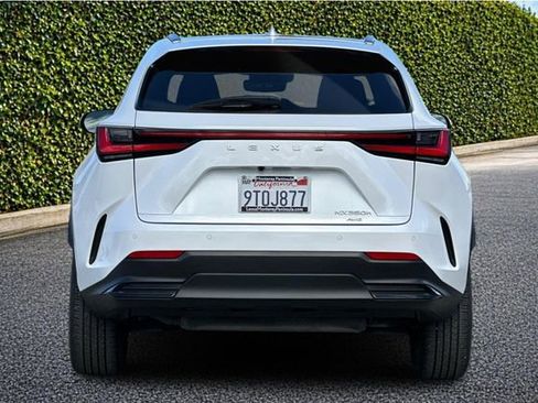 Used 2025 Lexus NX 350h AWD w/ Cold Area Package image 5