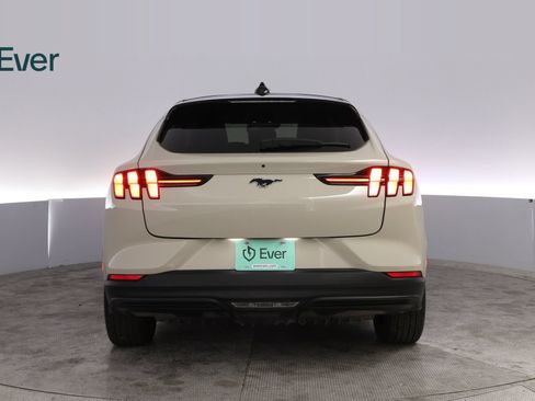 Used 2025 Ford Mustang Mach-E Premium RWD image 15