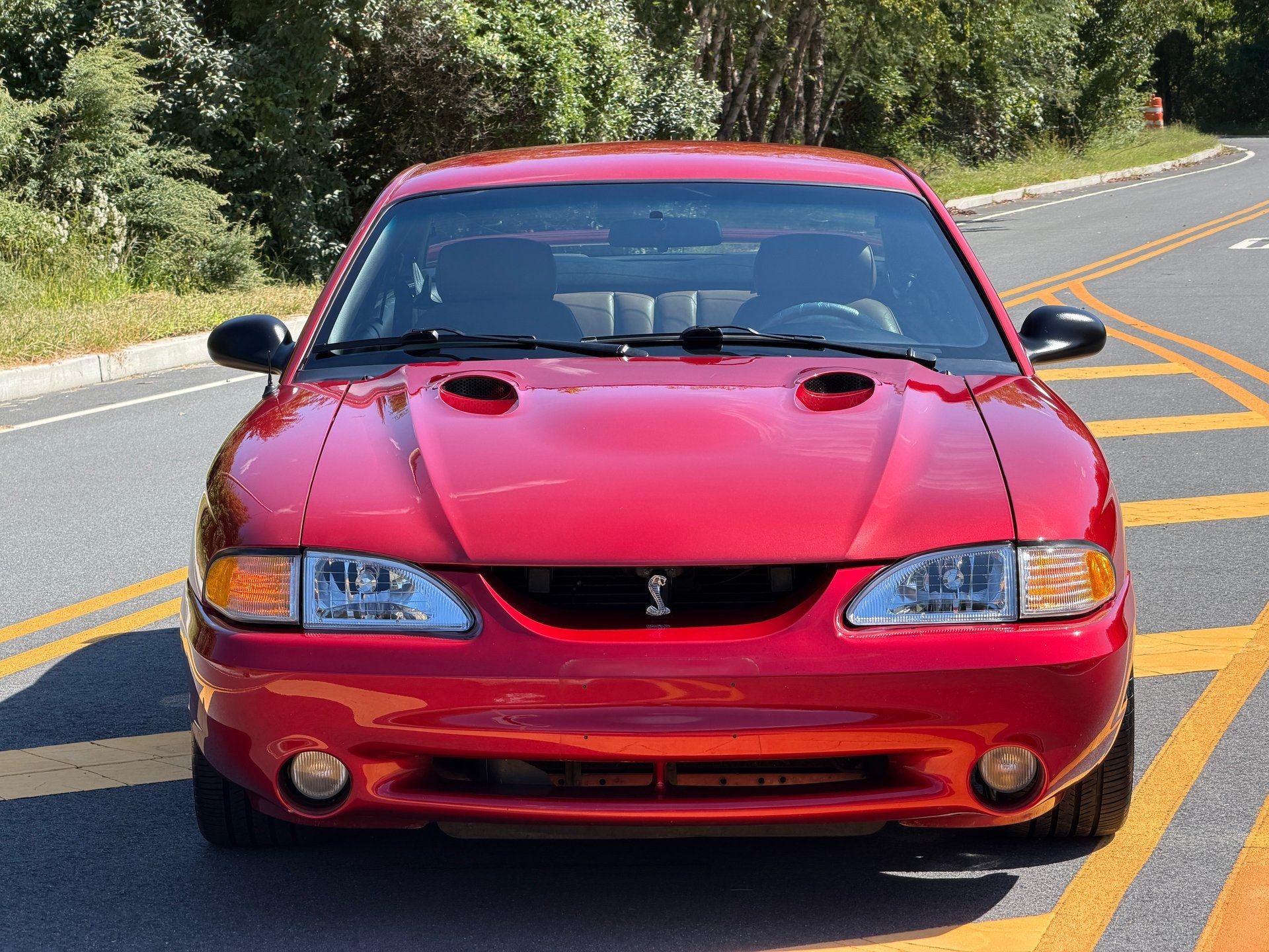 Used 1996 Ford Mustang Cobra RWD image 3
