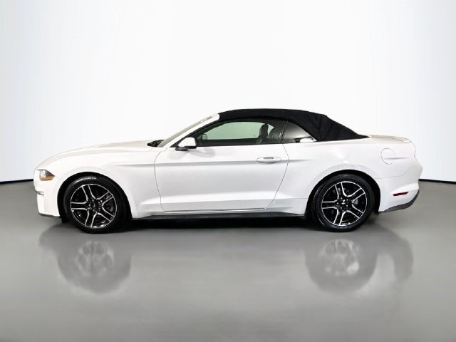Used 2019 Ford Mustang Premium RWD image 6