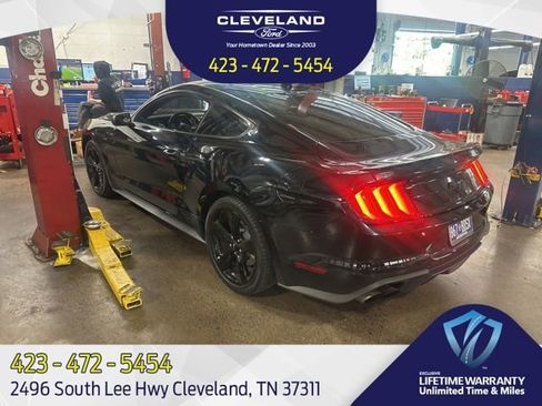 Used 2021 Ford Mustang Coupe w/ Equipment Group 101A RWD image 1