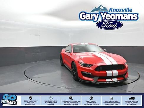 Used 2016 Ford Mustang Shelby GT350 w/ Technology Package RWD image 1