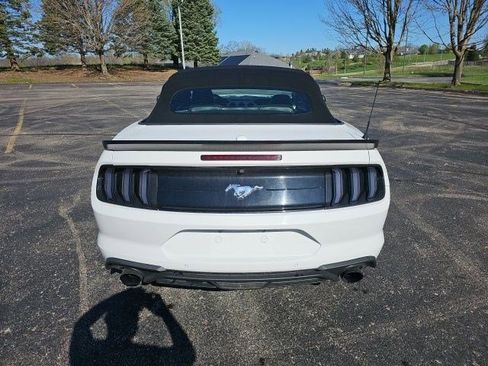 Used 2019 Ford Mustang Premium image 5