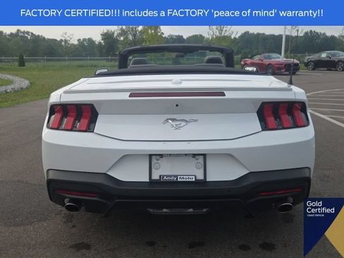 Used 2025 Ford Mustang Premium RWD image 15