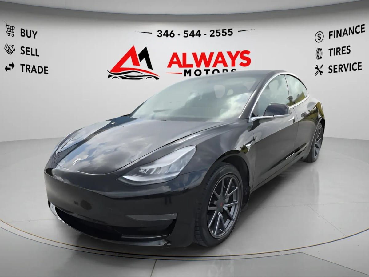 Used 2019 Tesla Model 3 Long Range AWD/4WD image 2