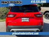 Used 2024 Ford Escape Active image 4