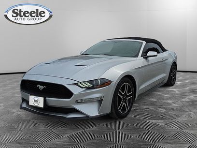 Used 2019 Ford Mustang Premium