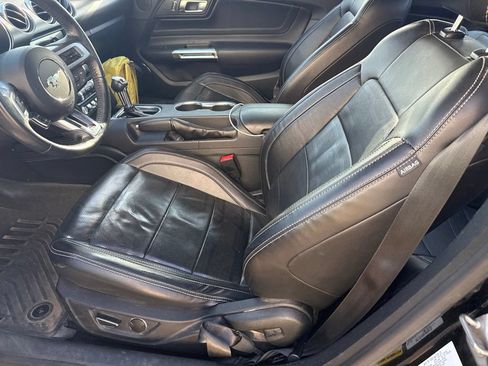 Used 2019 Ford Mustang Premium w/ Equipment Group 201A RWD image 6