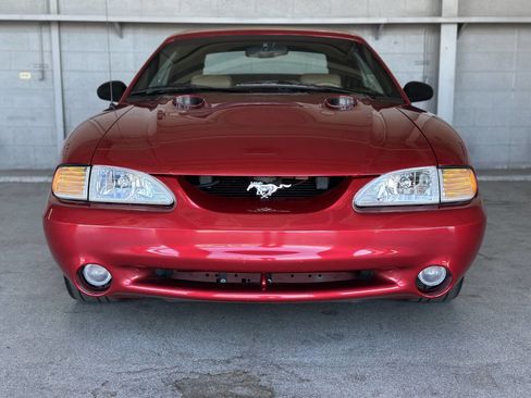 Used 1998 Ford Mustang Cobra image 3
