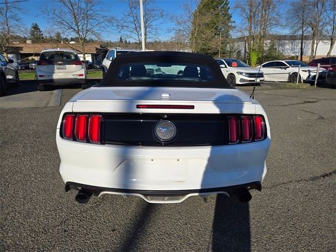 Used 2015 Ford Mustang Premium w/ Equipment Group 201A image 6