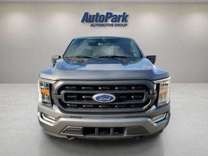 Used 2023 Ford F150 XLT w/ Equipment Group 302A High