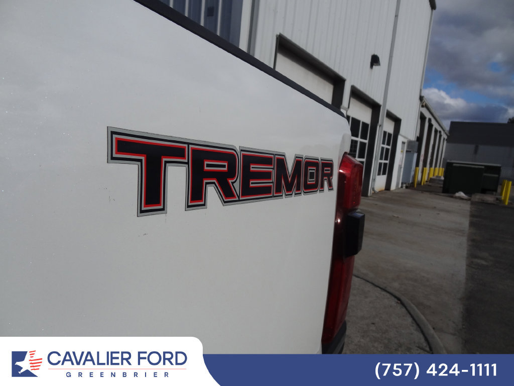 Used 2025 Ford F250 Lariat w/ Tremor Off-Road Package AWD/4WD image 6