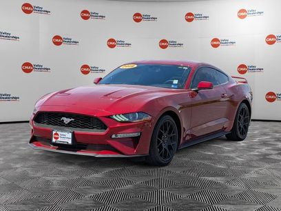Used 2019 Ford Mustang Premium w/ Ecoboost Performance Package