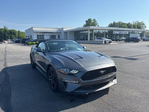 Used 2021 Ford Mustang Premium RWD image 1