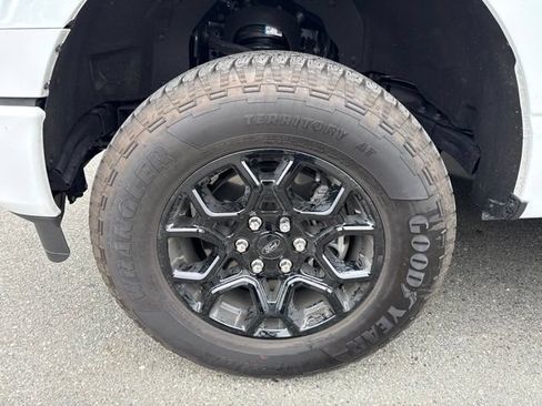 Used 2025 Ford F150 XLT w/ Equipment Group 302A MID AWD/4WD image 5