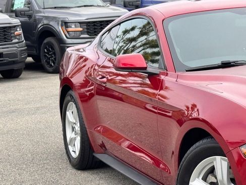 Certified 2019 Ford Mustang Coupe image 5