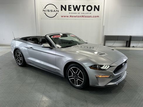 Used 2023 Ford Mustang Premium image 2
