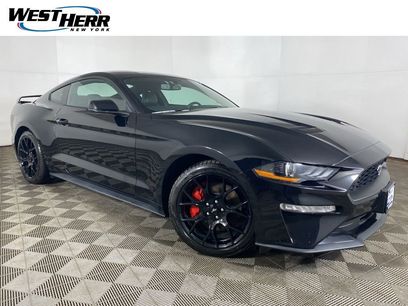Used 2019 Ford Mustang Premium w/ Ecoboost Performance Package