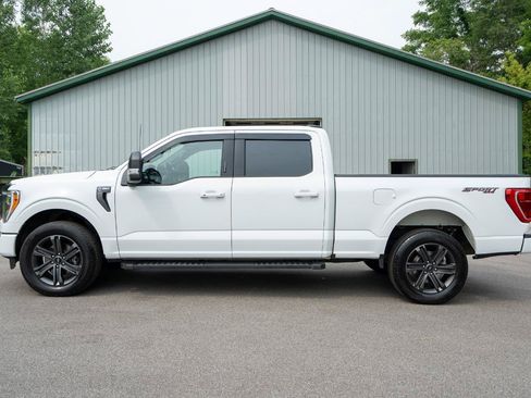 Used 2023 Ford F150 XLT w/ Equipment Group 302A High AWD/4WD image 6