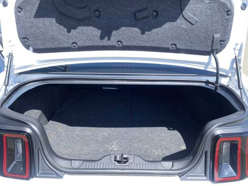 Used 2014 Ford Mustang Shelby GT500 w/ Equipment Group 821A image 30