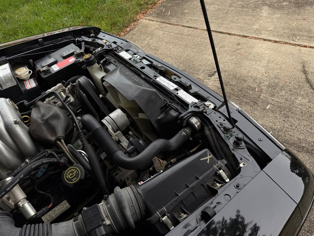 Used 1993 Ford Mustang Cobra RWD image 89
