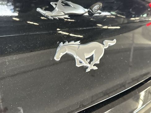 Used 2025 Ford Mustang Premium RWD image 11
