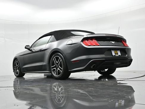 Used 2019 Ford Mustang Premium RWD image 19