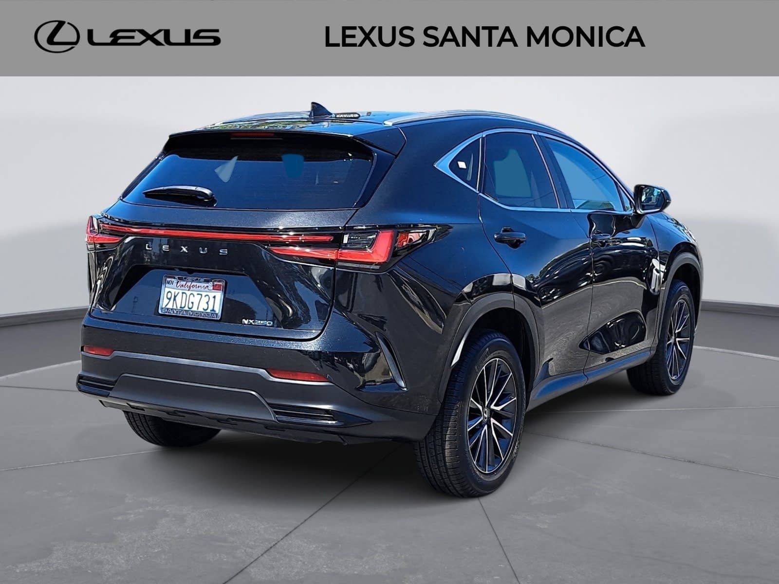 Used 2024 Lexus NX 250 FWD image 5
