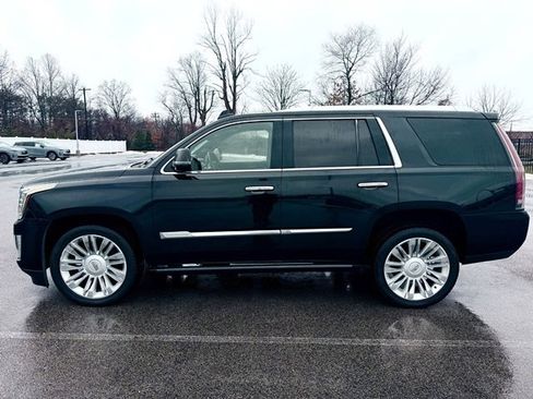 Used 2015 Cadillac Escalade Platinum image 4