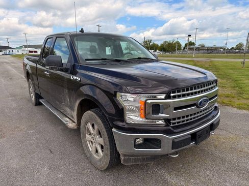 Used 2019 Ford F150 XLT w/ Equipment Group 302A Luxury AWD/4WD image 4