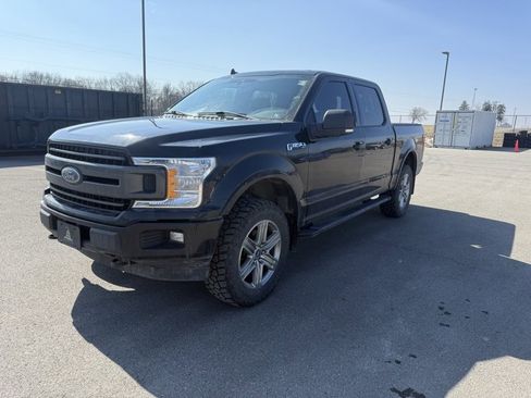 Used 2019 Ford F150 XLT w/ Equipment Group 302A Luxury image 3