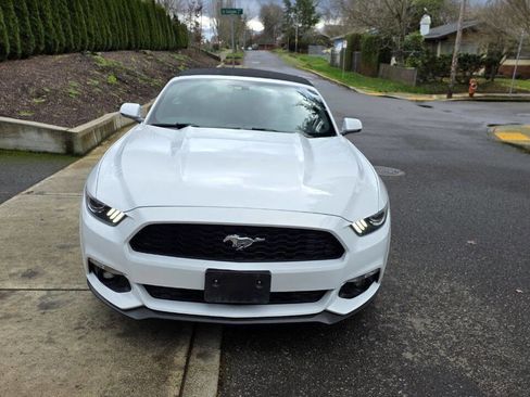 Used 2015 Ford Mustang Premium image 2