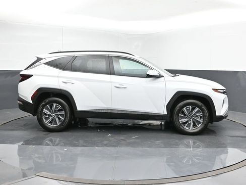 Used 2024 Hyundai Tucson Blue image 6