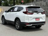 Used 2020 Honda CR-V EX-L image 5