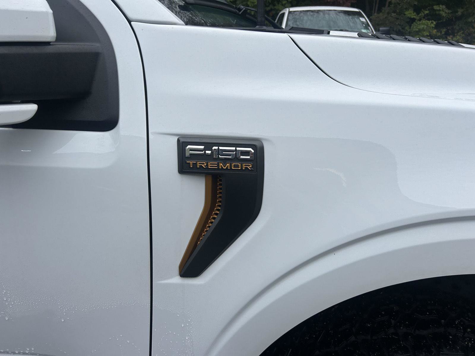 Used 2023 Ford F150 Tremor w/ Equipment Group 402A High AWD/4WD image 10