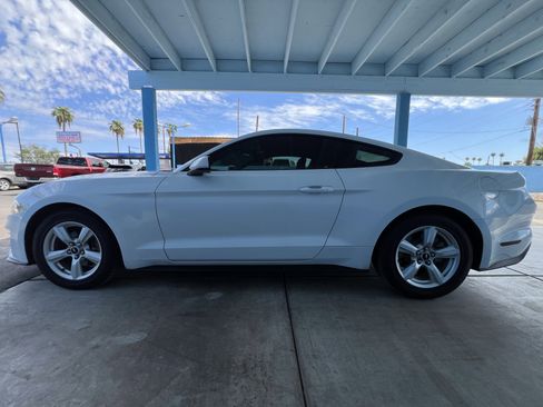 Used 2019 Ford Mustang Coupe RWD image 6