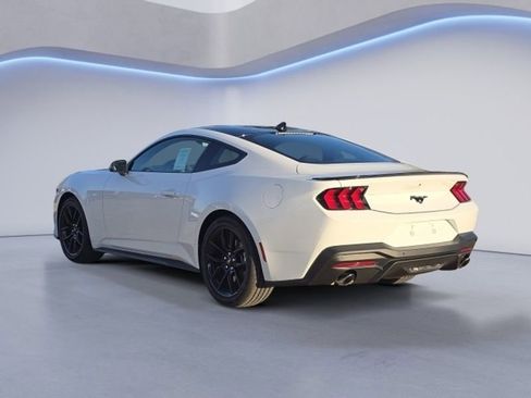 New 2026 Ford Mustang Coupe w/ Mustang Nite Pony Package RWD image 4