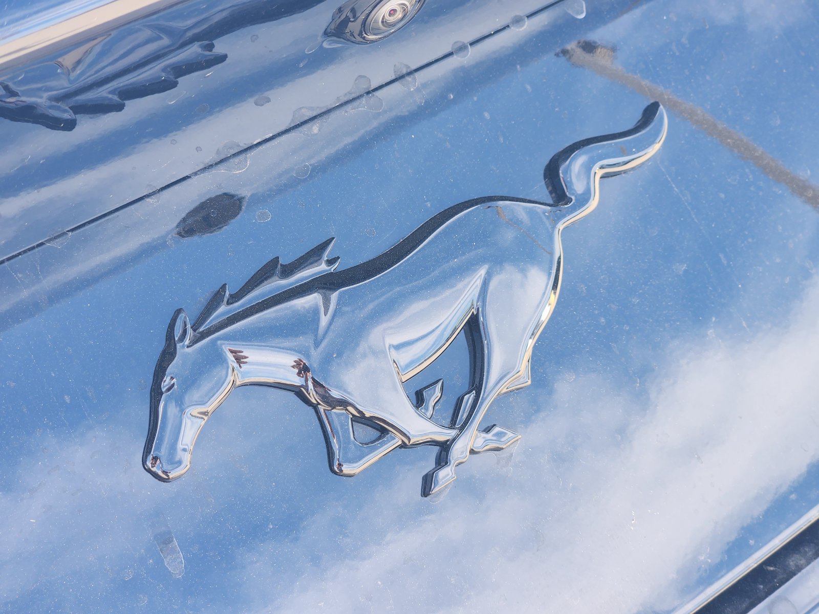 New 2026 Ford Mustang Coupe w/ Mustang Nite Pony Package RWD image 12