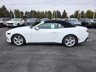 New 2026 Ford Mustang Premium w/ Anti-Theft Package video 2