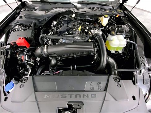 New 2026 Ford Mustang EcoBoostﾮ Fastback image 16