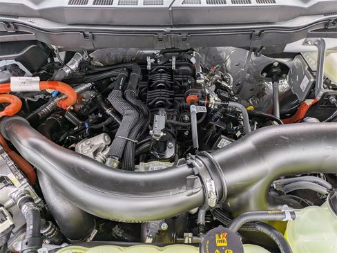 New 2025 Ford F150 XLT w/ Equipment Group 302A MID image 23