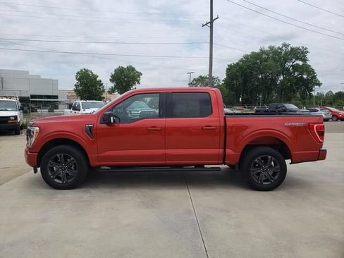 Used 2023 Ford F150 XLT w/ Equipment Group 302A High AWD/4WD image 8