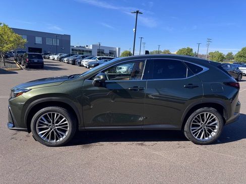 Certified 2025 Lexus NX 350h AWD w/ Accessory Package (2T) image 5