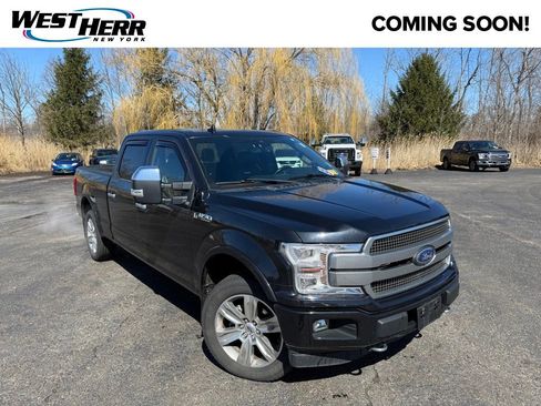 Used 2019 Ford F150 Platinum w/ Equipment Group 701A Luxury image 1