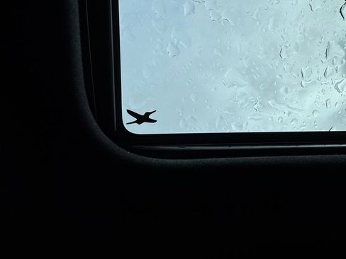 Certified 2025 Subaru Forester Limited image 41