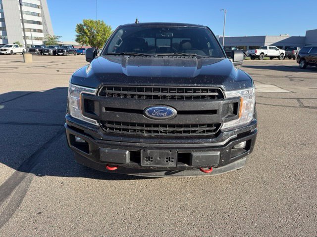 Used 2019 Ford F150 XLT w/ Equipment Group 302A Luxury AWD/4WD image 5