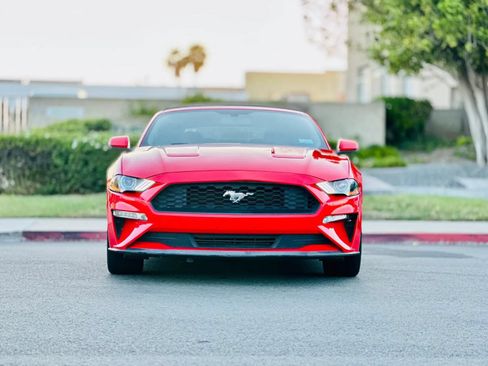 Used 2019 Ford Mustang Premium RWD image 2