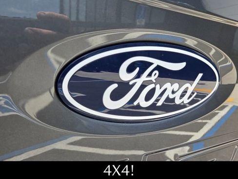 Used 2025 Ford F150 XLT w/ Equipment Group 301A Standard AWD/4WD image 12