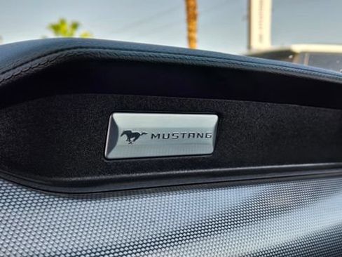 Used 2019 Ford Mustang GT w/ Equipment Group 301A RWD image 24